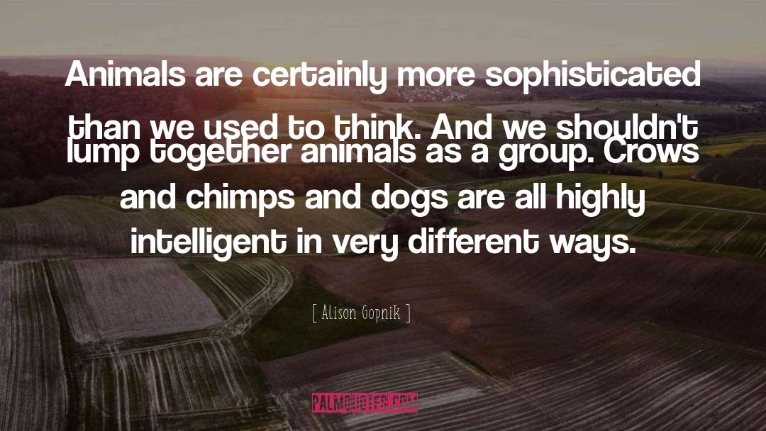 Alison Gopnik Quotes: Animals are certainly more sophisticated