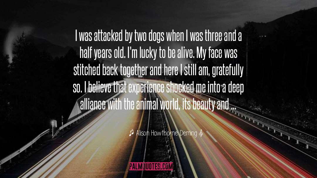 Alison Hawthorne Deming Quotes: I was attacked by two