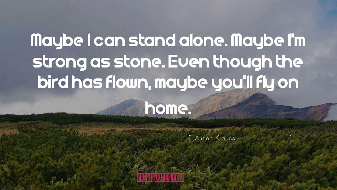 Alison Krauss Quotes: Maybe I can stand alone.