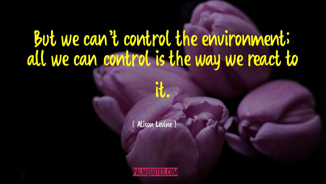 Alison Levine Quotes: But we can't control the