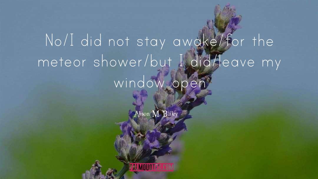 Alison M. Bailey Quotes: No/I did not stay awake/for
