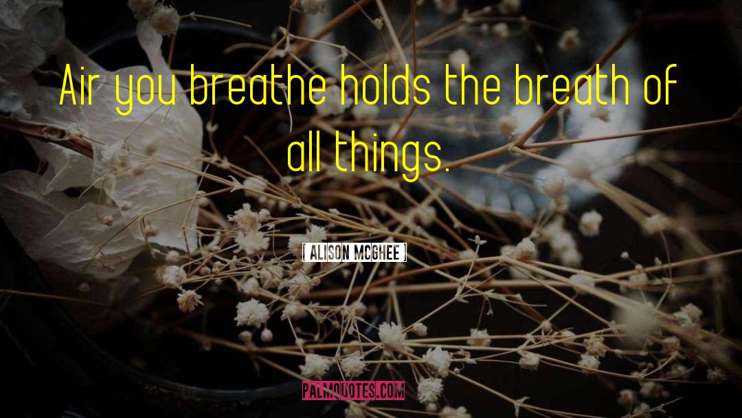 Alison McGhee Quotes: Air you breathe holds the