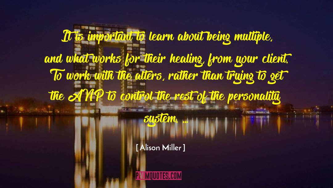 Alison Miller Quotes: It is important to learn