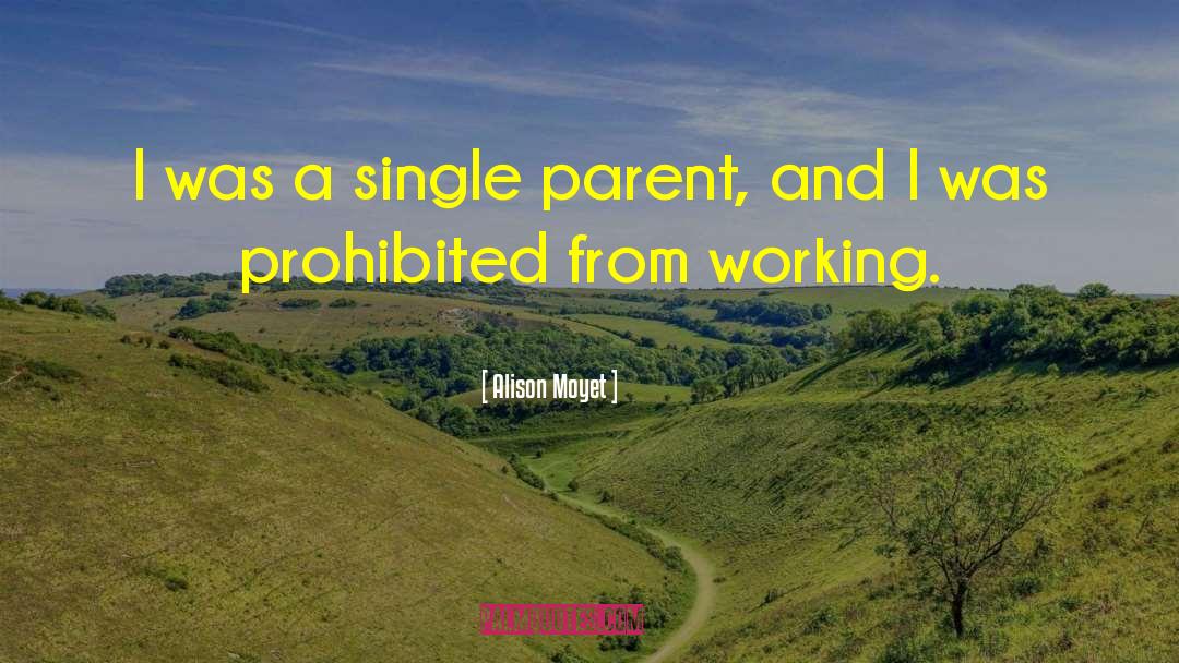 Alison Moyet Quotes: I was a single parent,