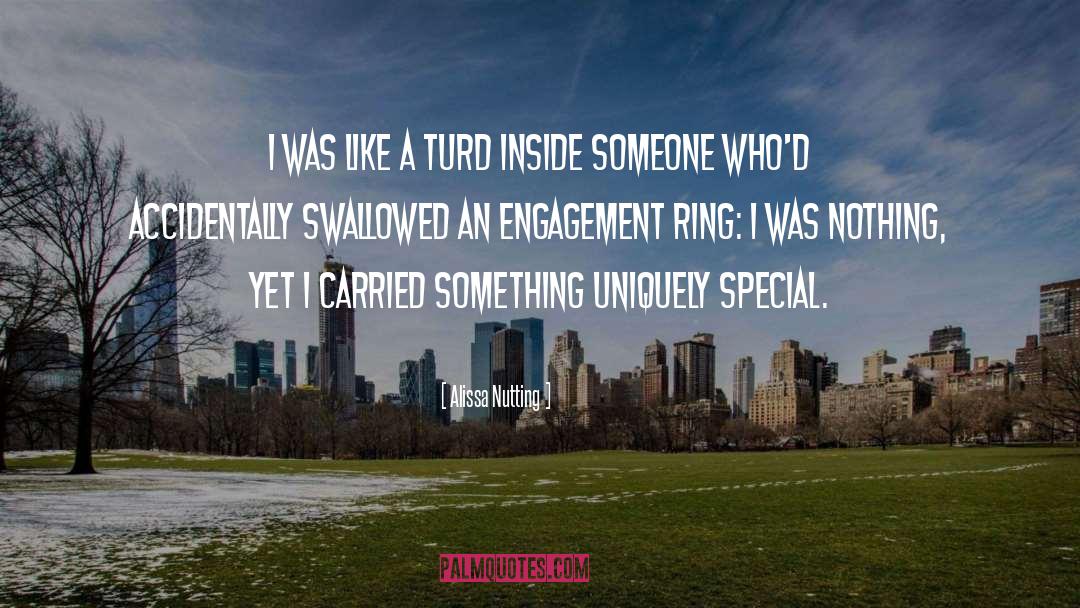 Alissa Nutting Quotes: I was like a turd