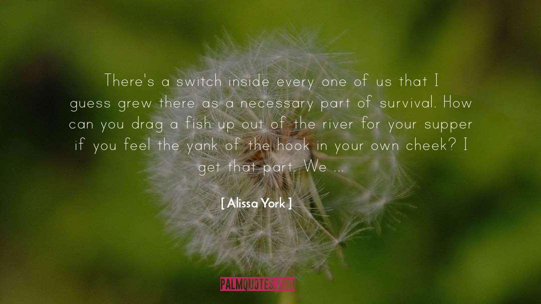 Alissa York Quotes: There's a switch inside every