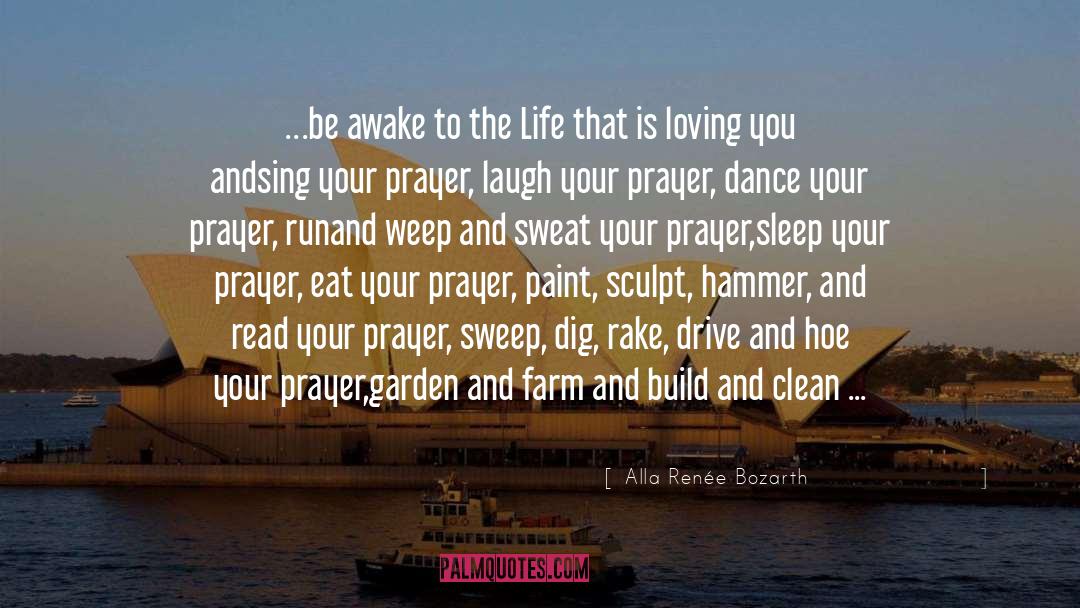 Alla Renée Bozarth Quotes: …be awake to the Life