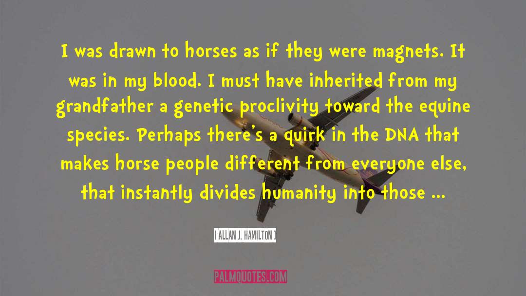 Allan J. Hamilton Quotes: I was drawn to horses