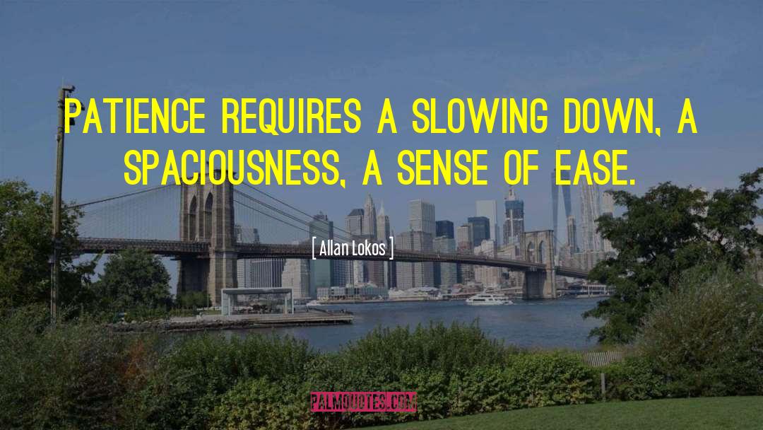 Allan Lokos Quotes: Patience requires a slowing down,