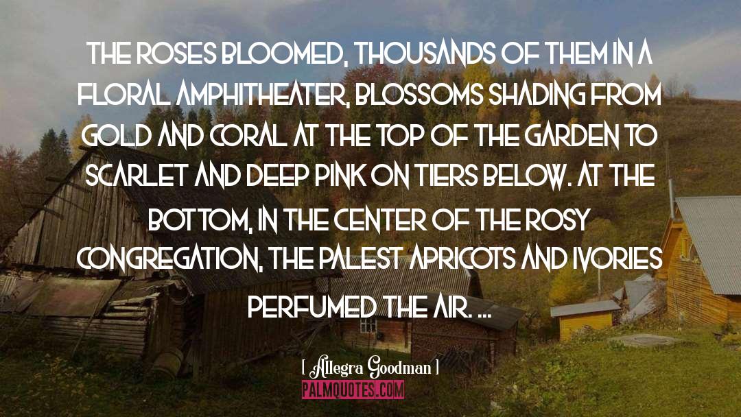Allegra Goodman Quotes: The roses bloomed, thousands of