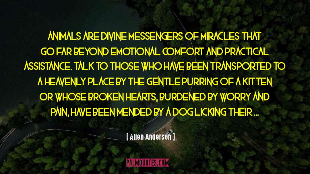 Allen Anderson Quotes: Animals are divine messengers of