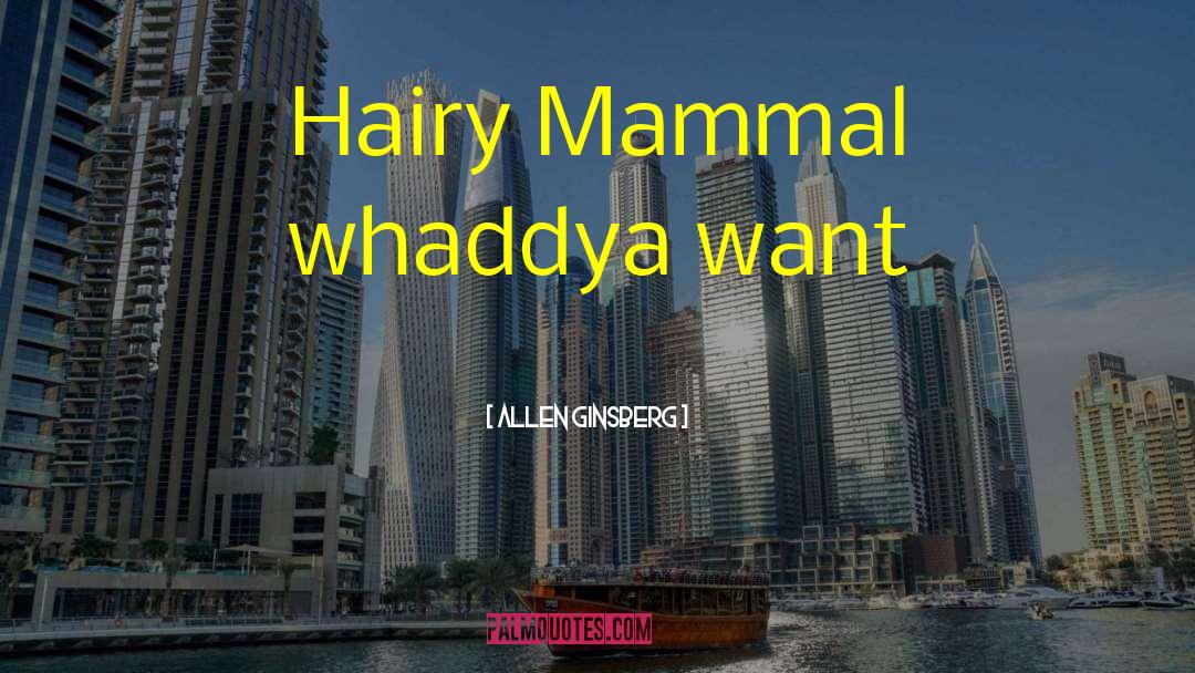 Allen Ginsberg Quotes: Hairy Mammal whaddya want