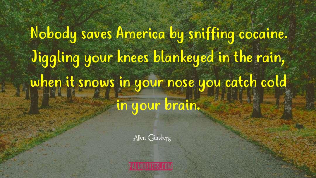 Allen Ginsberg Quotes: Nobody saves America by sniffing