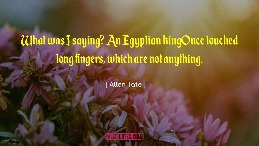 Allen Tate Quotes: What was I saying? An