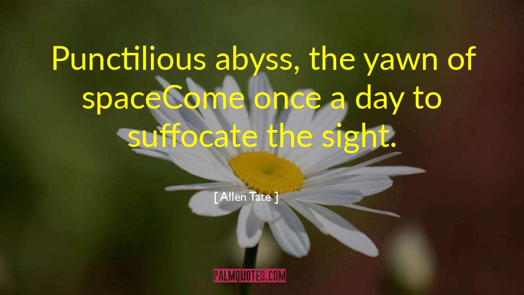 Allen Tate Quotes: Punctilious abyss, the yawn of