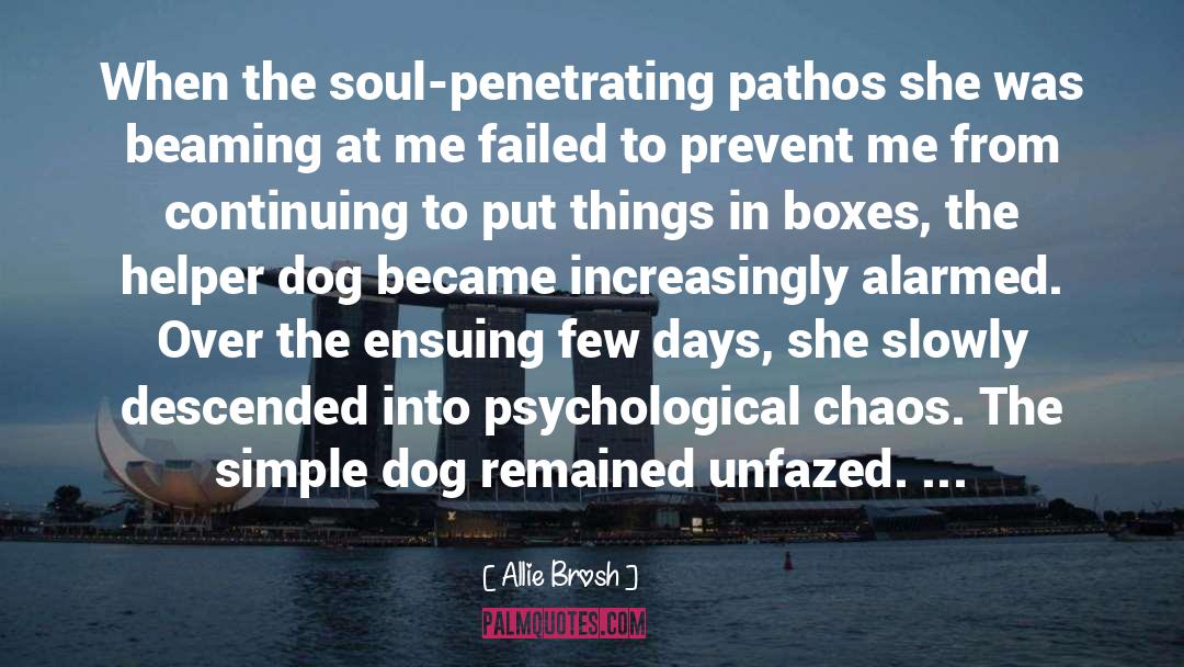 Allie Brosh Quotes: When the soul-penetrating pathos she