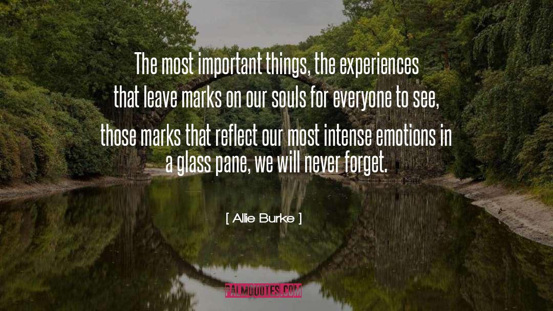 Allie Burke Quotes: The most important things, the