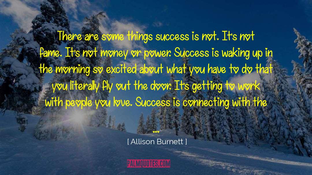 Allison Burnett Quotes: There are some things success