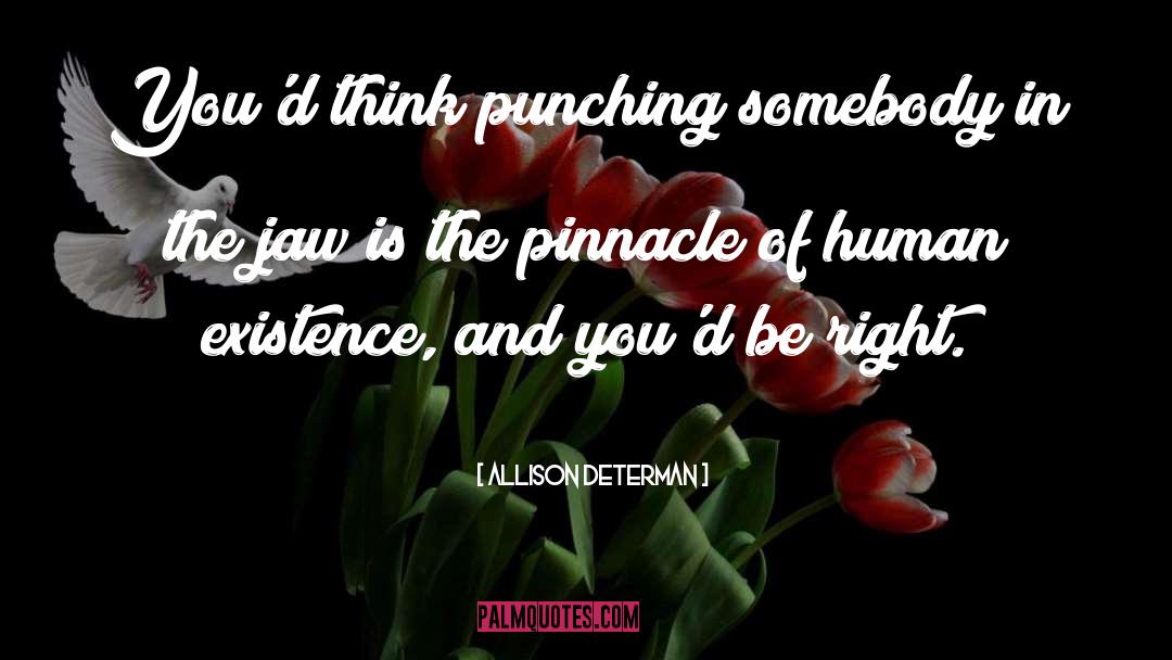 Allison Determan Quotes: You'd think punching somebody in