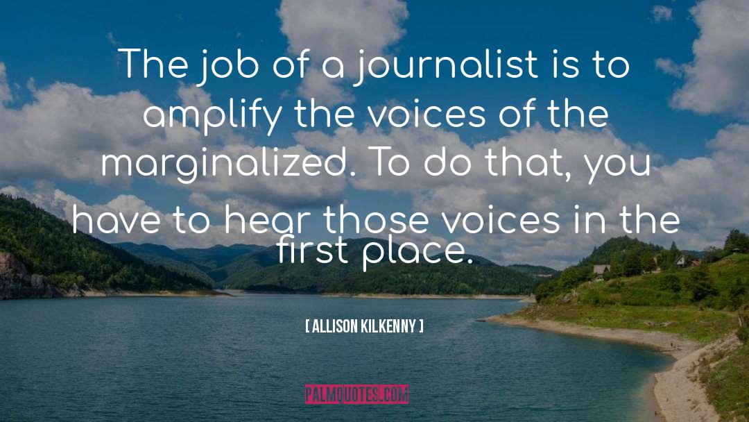 Allison Kilkenny Quotes: The job of a journalist