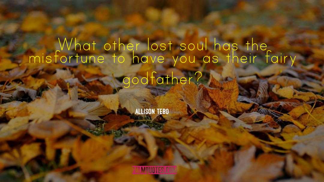Allison Tebo Quotes: What other lost soul has