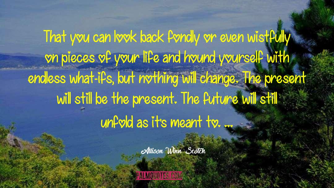 Allison Winn Scotch Quotes: That you can look back