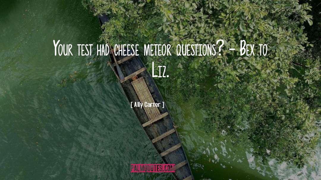 Ally Carter Quotes: Your test had cheese meteor