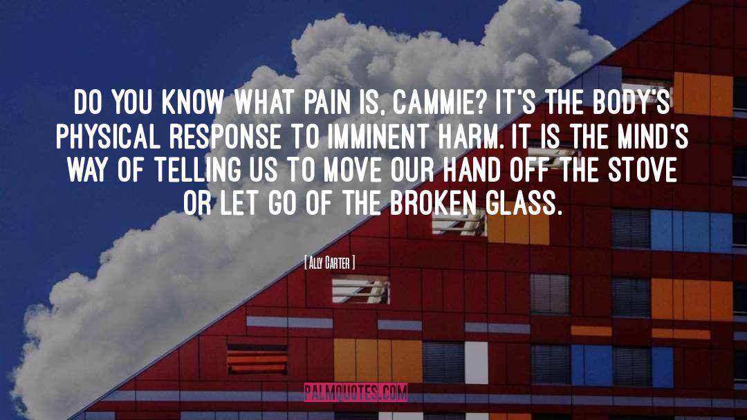 Ally Carter Quotes: Do you know what pain