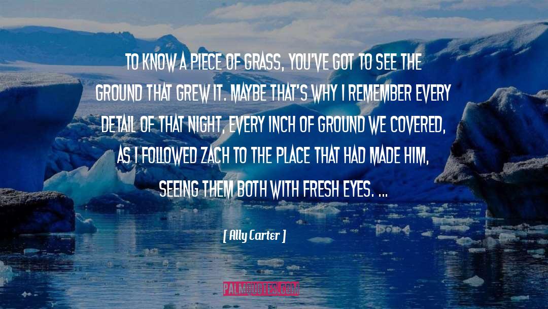 Ally Carter Quotes: To know a piece of