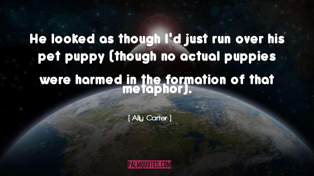 Ally Carter Quotes: He looked as though I'd