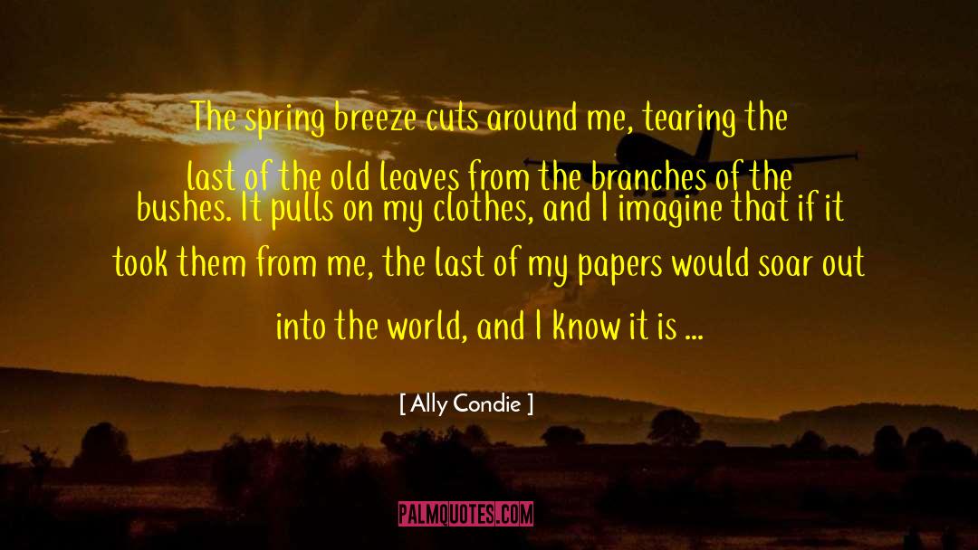 Ally Condie Quotes: The spring breeze cuts around