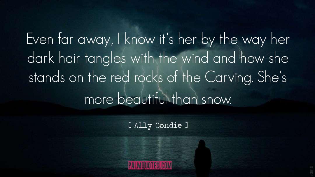 Ally Condie Quotes: Even far away, I know
