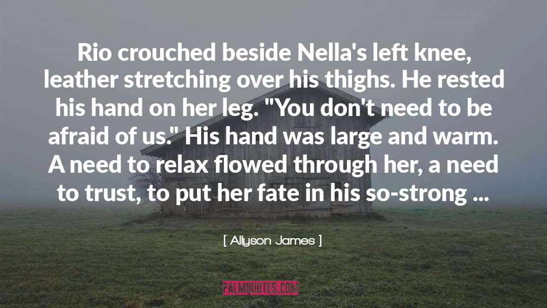 Allyson James Quotes: Rio crouched beside Nella's left