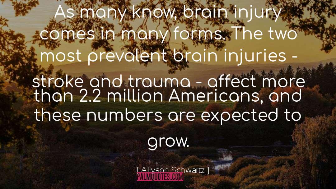 Allyson Schwartz Quotes: As many know, brain injury