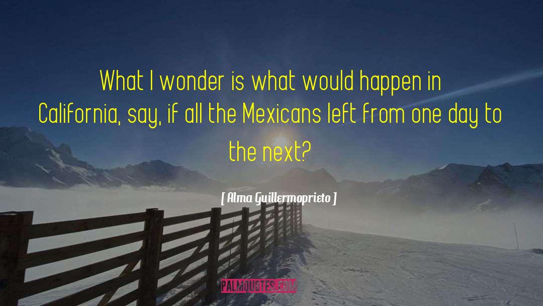 Alma Guillermoprieto Quotes: What I wonder is what