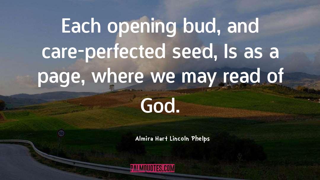 Almira Hart Lincoln Phelps Quotes: Each opening bud, and care-perfected