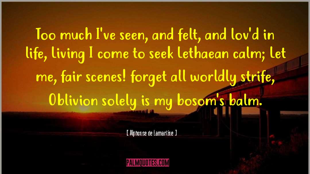 Alphonse De Lamartine Quotes: Too much I've seen, and