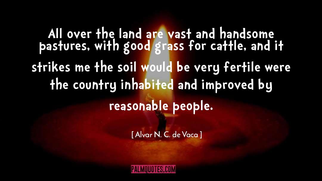 Alvar N. C. De Vaca Quotes: All over the land are