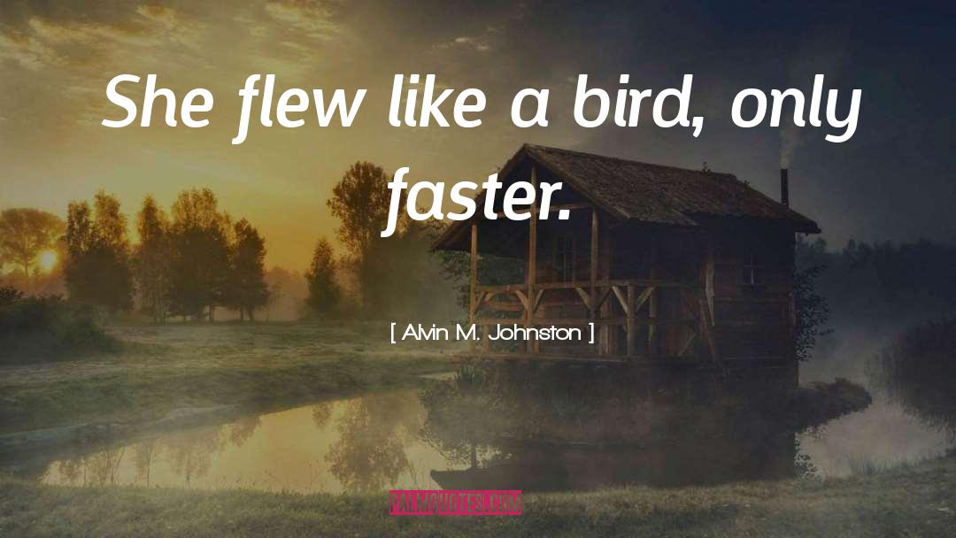 Alvin M. Johnston Quotes: She flew like a bird,