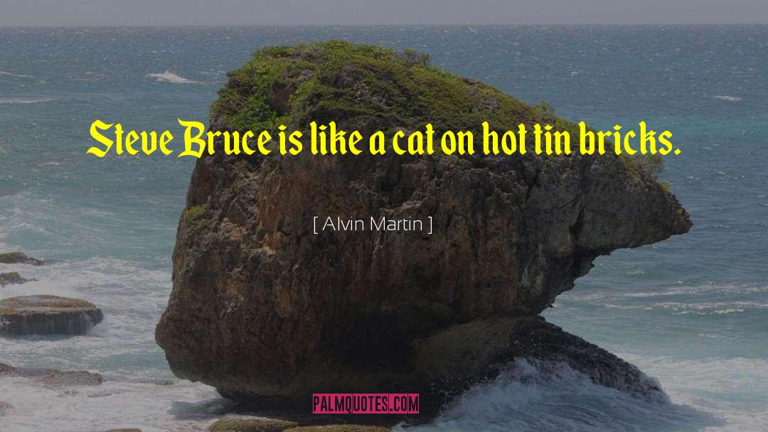 Alvin Martin Quotes: Steve Bruce is like a