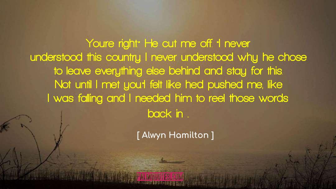 Alwyn Hamilton Quotes: You're right.