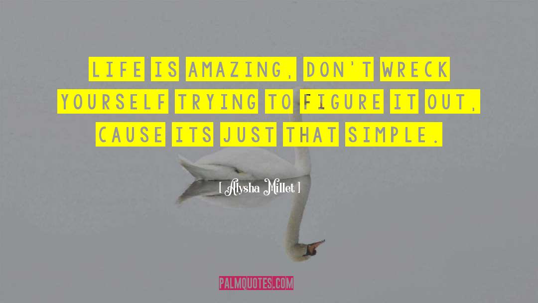 Alysha Millet Quotes: Life is amazing, don't wreck
