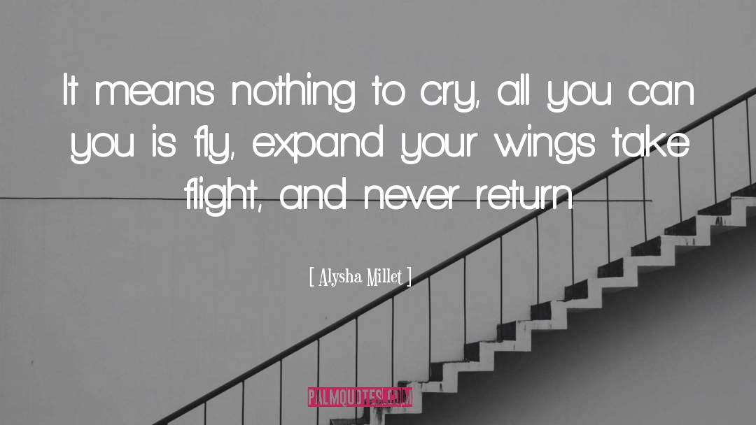 Alysha Millet Quotes: It means nothing to cry,