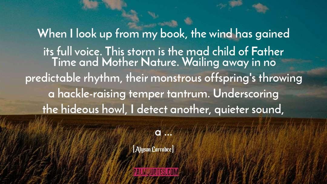 Alyson Larrabee Quotes: When I look up from