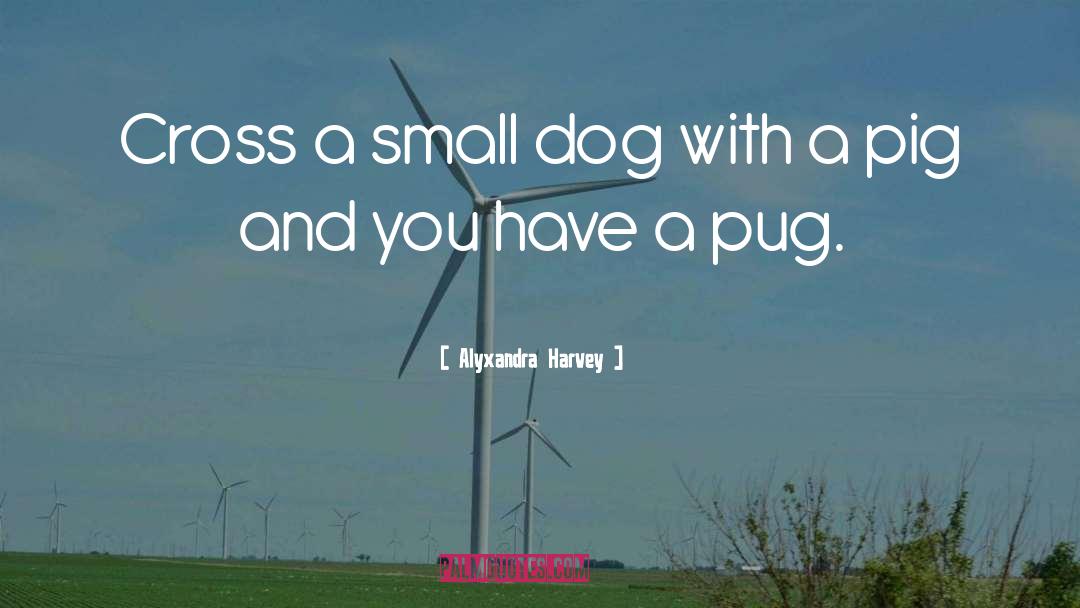 Alyxandra Harvey Quotes: Cross a small dog with