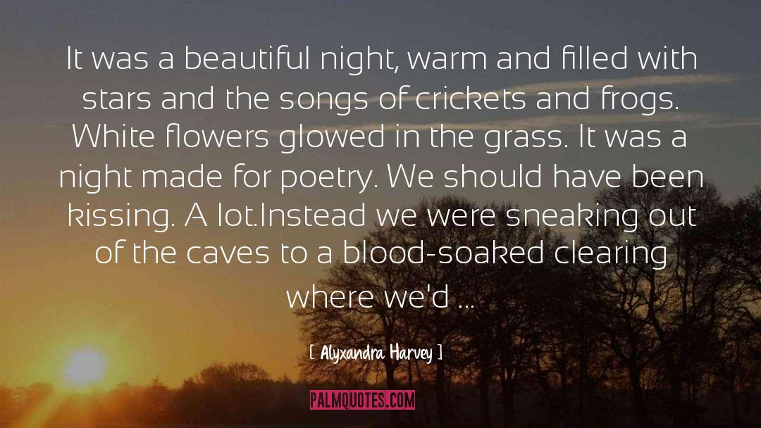 Alyxandra Harvey Quotes: It was a beautiful night,