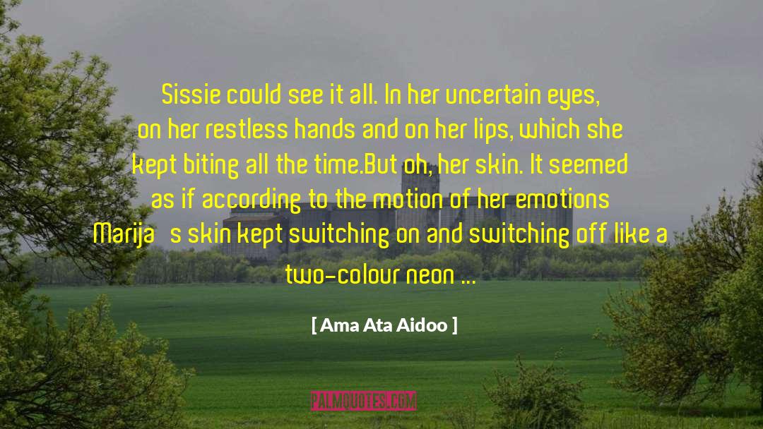 Ama Ata Aidoo Quotes: Sissie could see it all.