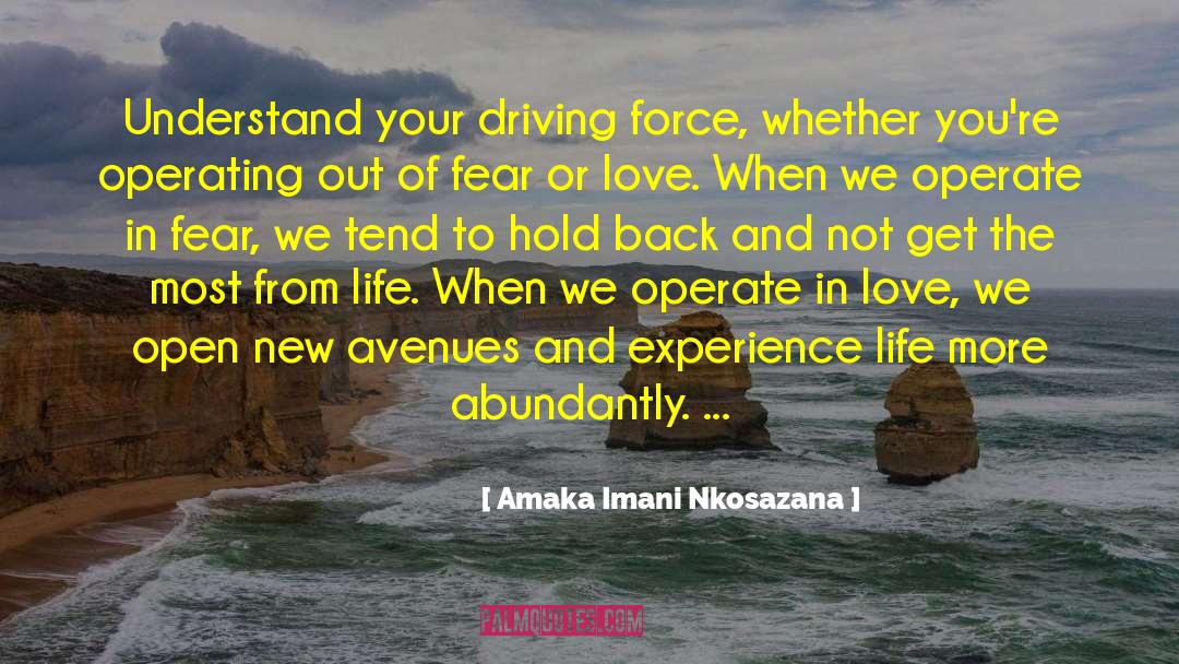 Amaka Imani Nkosazana Quotes: Understand your driving force, whether