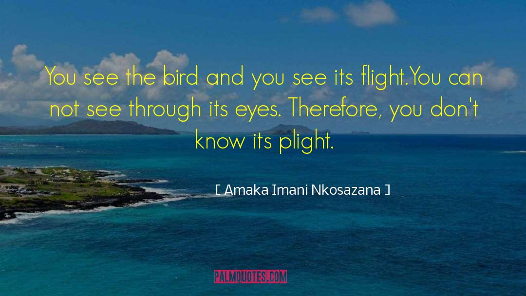 Amaka Imani Nkosazana Quotes: You see the bird and