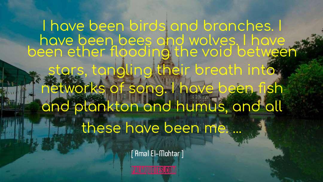 Amal El-Mohtar Quotes: I have been birds and